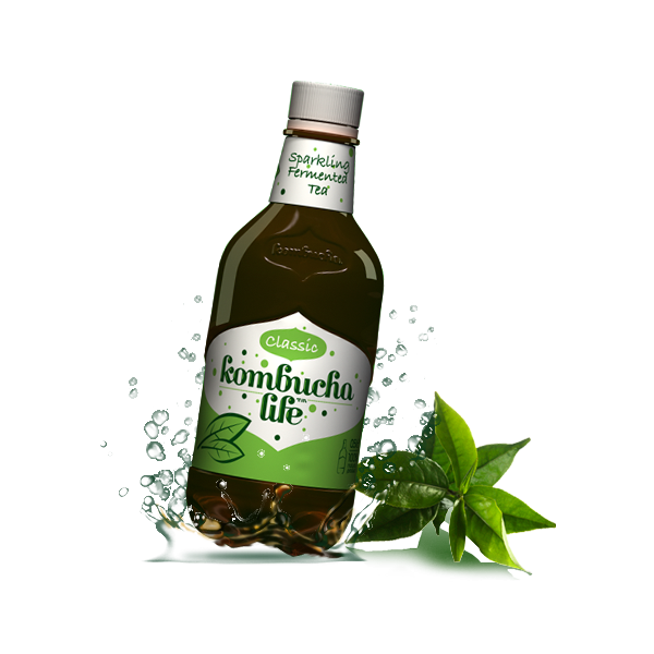 Kombucha clasic 500ml Kombucha Life