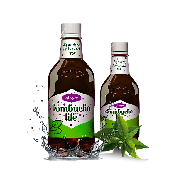 Kombucha cu ghimbir 500ml Kombucha Life