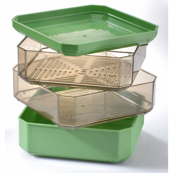 Germinator cu 2 tavite Germline